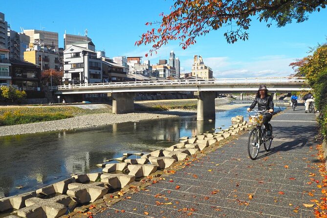 Pedal through Kyoto's Past: A Private Biking Odyssey - Senbon Torii: The Thousand Gates Ride to a Sacred Approach