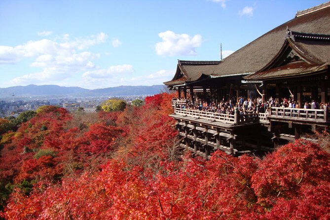 PERFECT KYOTO 1-Day Bus Tour - Key reasons this tour is worth a look