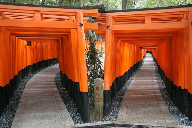 The vermilion torii corridor at Fushimi Inari Taisha