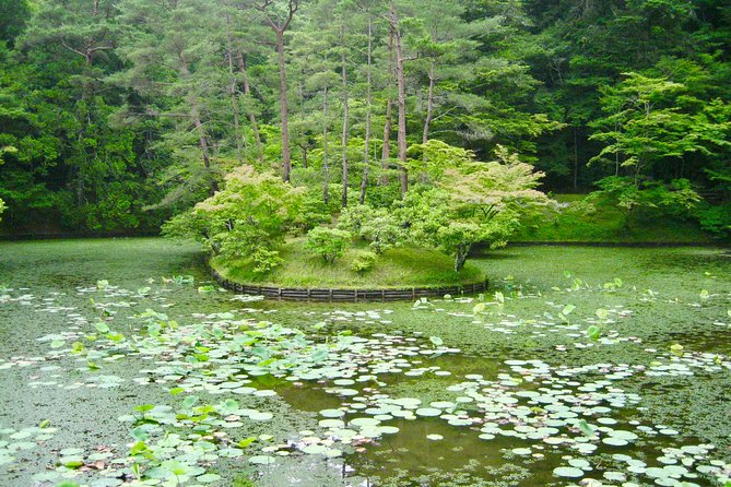 Personalized Half-day Tour in Kyoto for your family and friends. - Stop 1: Bamboo Forest Street (竹林散策) to start your day softly
