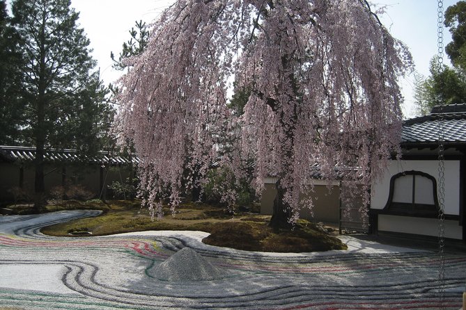 Personalized Half-day Tour in Kyoto for your family and friends. - Kinkakuji Temple (金閣寺): the Golden Pavilion visit with context