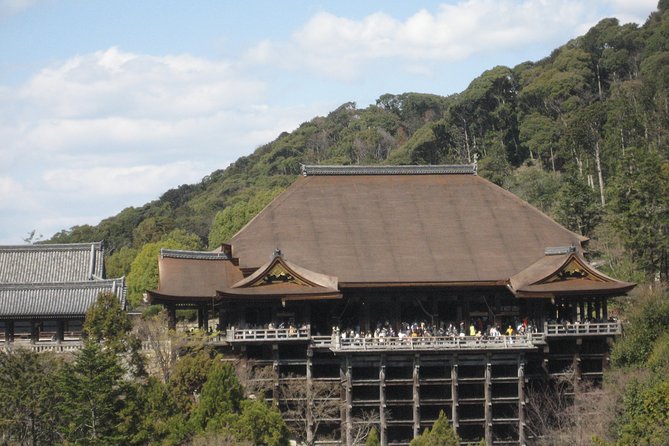 Personalized Half-day Tour in Kyoto for your family and friends. - Price and what makes it feel fair