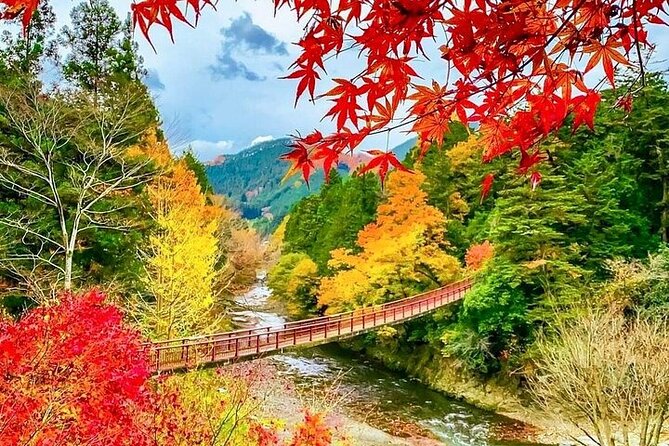 Private and Customizable Kyoto Tour with English Speaking Driver - Transportation Comfort: Air-Conditioned Vehicle, Parking, and WiFi