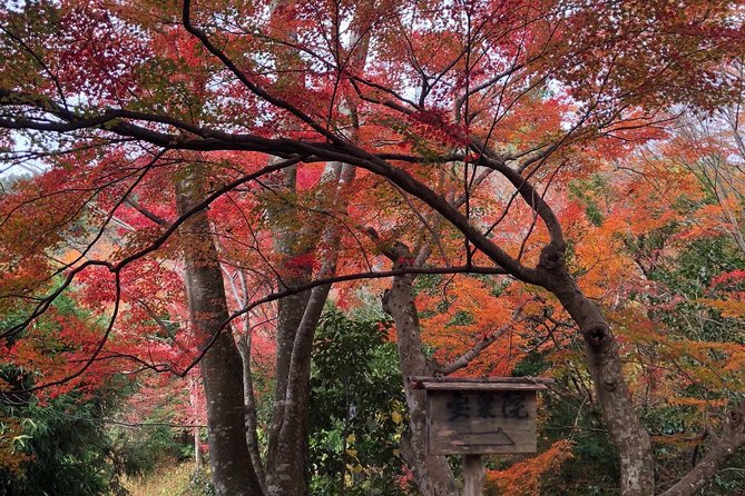 Private car tour in Kyoto (up to 4) - Gion: Geisha District Streets and a Kyoto-Style Walk