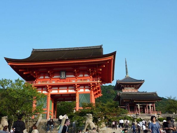 Private car tour in Kyoto (up to 9) - Key highlights worth prioritizing