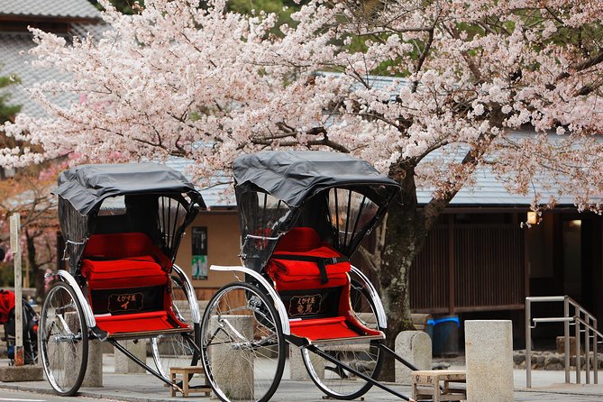 Private Custom Tour: Kyoto in One Day - Key things to know before you go