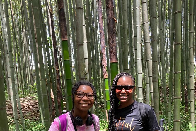 Private Custom Tour: Kyoto in One Day - Tenryu-ji and Kiyomizu-dera: Gardens and Cliff-Side Views