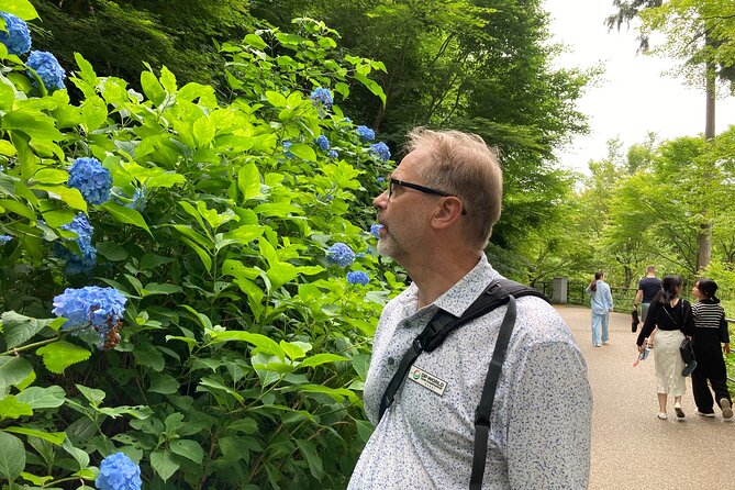 Private Custom Tour: Kyoto in One Day - Optional Add-Ons: Tea, Calligraphy, Aikido, and Back-Street Cycling