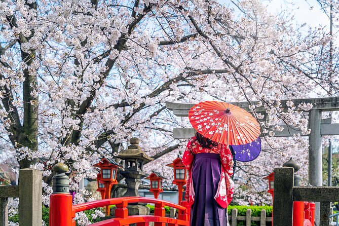 Private Customized 3 Full Days Tour Package: Discover Kyoto, Arashiyama and Nara - Customization: how to tweak this tour without throwing off the day