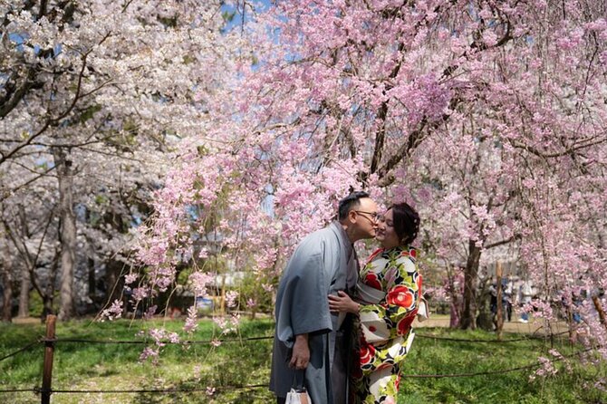 Private Customized Tour with Local Guide In Kyoto - Key things I’d plan around before you go