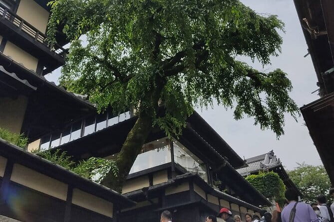 Private Customized Walking Tour in Kyoto - Stop 5: Nishiki Market shopping district for snacks and local rhythm