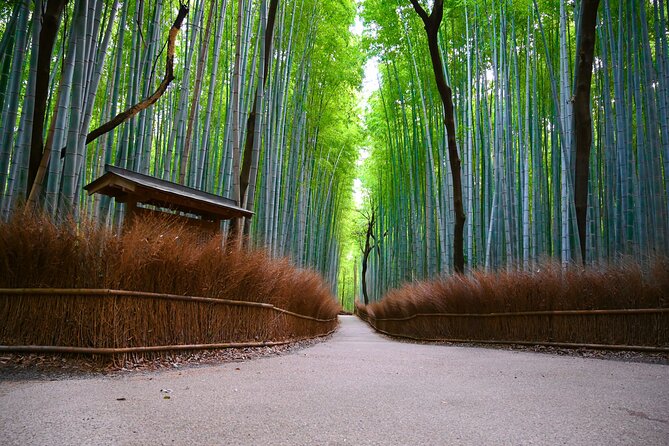 Private Day Tour - Kyoto Arashiyama & Bamboo Forest Perfect Tour! - Key highlights worth planning for