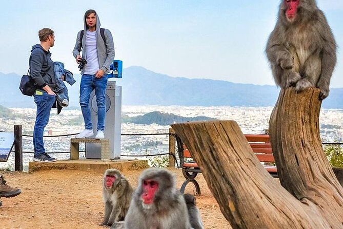 Private Day Tour - Kyoto Arashiyama & Bamboo Forest Perfect Tour! - Stop 3, Jojakko-ji Temple on Mt. Ogura
