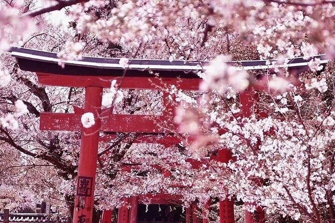 Private departure transfer from Kyoto city to Kansai International airport - Arrival At KIX: Getting You There, With Less Hassle
