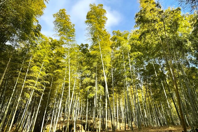 Private Fushimi Red Gates & Secret Bamboo Mountain Trekking Tour - Kaikoji Temple: a calmer Buddha statue stop to balance the day