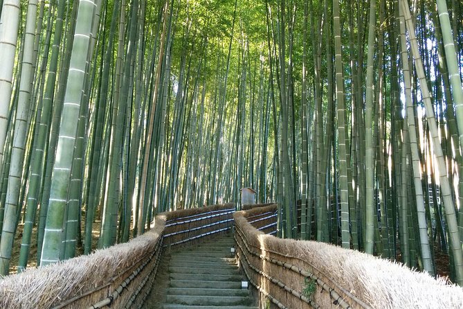 Private Highlights of Kyoto Tour - Key moments that make this Kyoto tour work