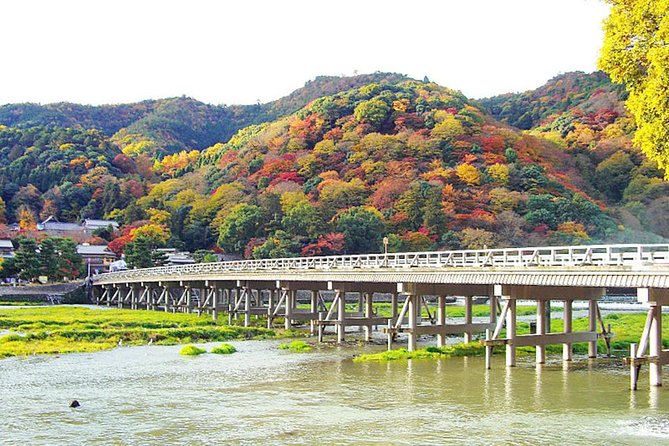 Private Kyoto Arashiyama Custom Half-Day Tour by Chartered Vehicle - Togetsukyo Bridge, the Moon Crossing Bridge viewpoint in 30 minutes