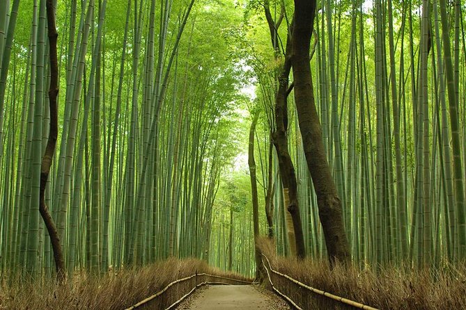 Private Kyoto Arashiyama Custom Half-Day Tour by Chartered Vehicle - Tenryu-ji Temple in 50 minutes, UNESCO gardens focus