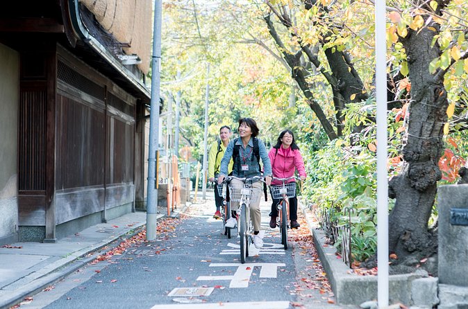 Private Kyoto Back Street Cycling Tour w. ENG-Speaking Guide - Shirakawa River Cycling: Fresh Air Along a Clear Stream