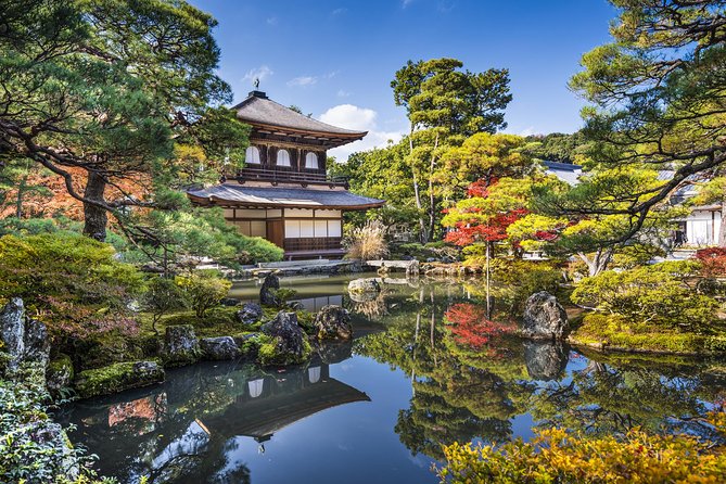Private Kyoto Family Tour with a Local – 100% Personalized - The route in real terms: 5 stops your host can shape