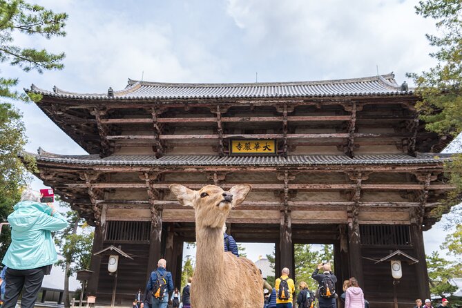 Private Kyoto Tour by Car with Optional Nara or Osaka Add-Ons - Fushimi Inari-taisha: torii gates, iconic photos, and good momentum