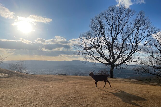 Private Kyoto Tour: Explore the Most Iconic Sights - Stop 1: Kinkakuji (Golden Pavilion) in a focused 2 hours