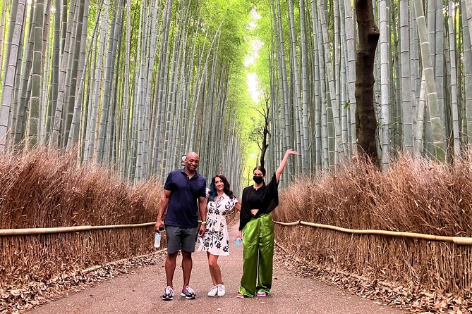Private Kyoto Tour with Licensed Guide & Vehicle (Max 15 persons) - Gion, Pontocho, and Higashiyama Ward: old streets, fewer wrong turns