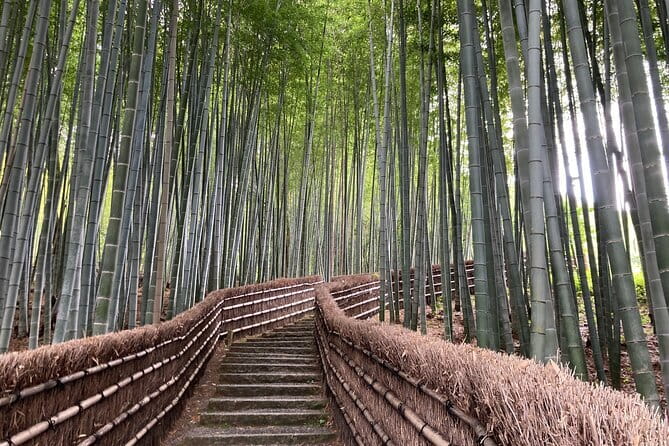 Private Kyoto with Exceptional Guide Tailored to Your Needs - How the private format changes your Kyoto day