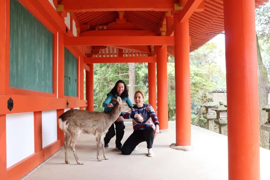 Private Nara Tour & Sake Tasting (Departing from Kyoto/Nara) - Why This Private Morning Circuit Works So Well in Nara