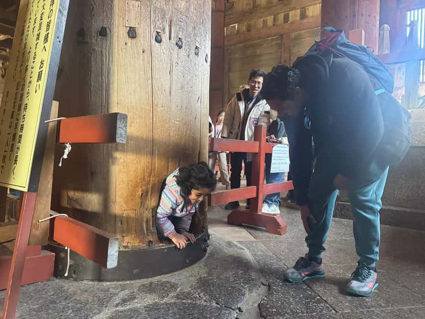 Private Nara Tour & Sake Tasting (Departing from Kyoto/Nara) - Price and Value: What $161 Actually Buys You