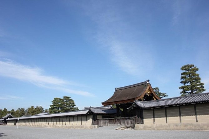 Private Nijo Castle Sightseeing and Nishiki Food Tour - Price and Value: When the Convenience Costs Extra, But Saves You Time