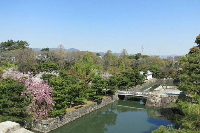 Private Nijo Castle Sightseeing and Nishiki Food Tour - Who This Tour Fits Best in Kyoto