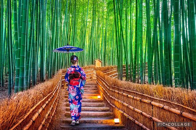 Private Tour Kyoto-Nara w/Hotel Pick Up & Drop off from Kyoto - Timing and flow: how the day is built around walking