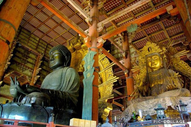 Private Tour Kyoto-Nara w/Hotel Pick Up & Drop off from Kyoto - Fushimi Inari-taisha: a shrine stop designed for real wandering