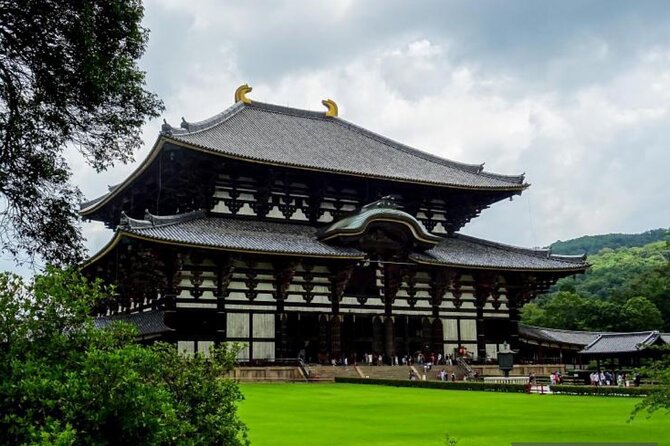 Private Tour Kyoto-Nara w/Hotel Pick Up & Drop off from Kyoto - Arashiyama Bamboo Forest: classic scenery, planned timing