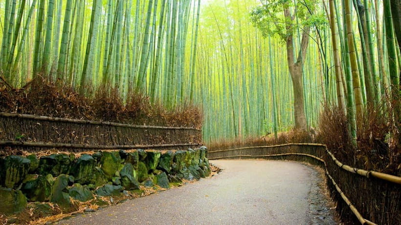 Private Tour to Monkey Park and Arashiyama Highlights - Key things I’d circle on your Arashiyama plan