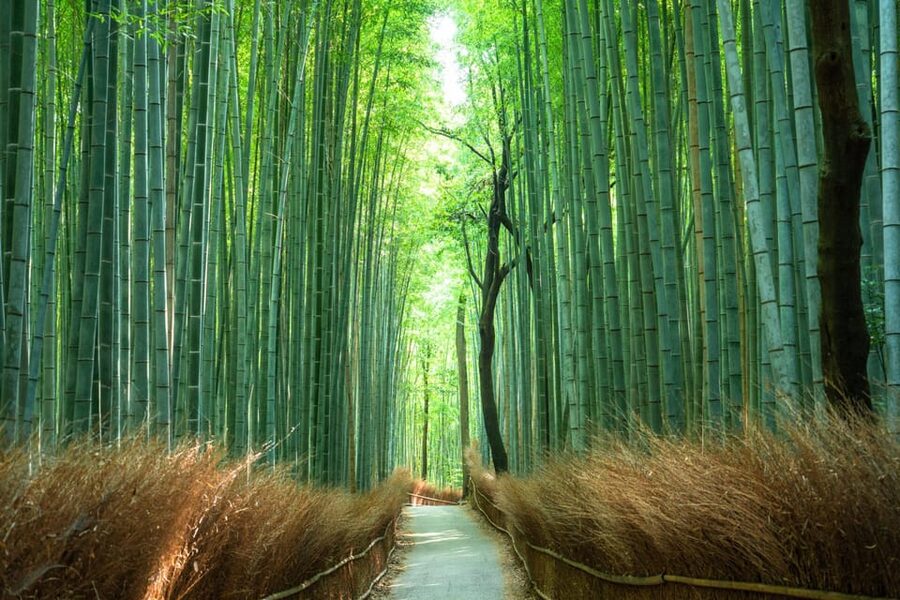Private Tour to Monkey Park and Arashiyama Highlights - The leisurely Oi River boat ride: a slower pace that makes the day work