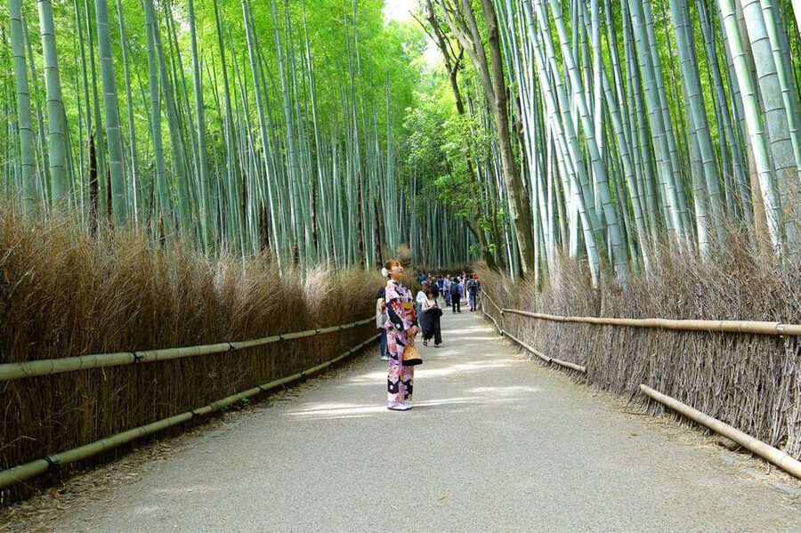 Private Tour to Monkey Park and Arashiyama Highlights - Meeting at Hankyu-Arashiyama Station: small detail, big payoff