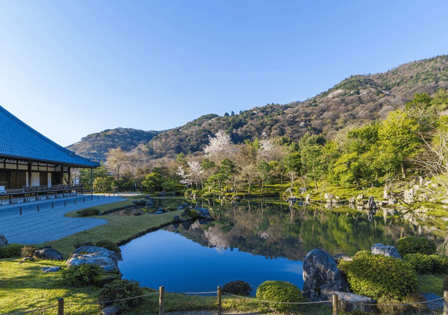 Private Tour to Monkey Park and Arashiyama Highlights - What to pack and what to wear so the day stays enjoyable