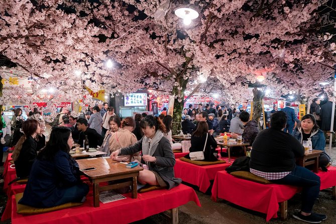 Private & Unique Kyoto Cherry Blossom "Sakura" Experience - The hanami picnic setup, what you get, and how to enjoy it