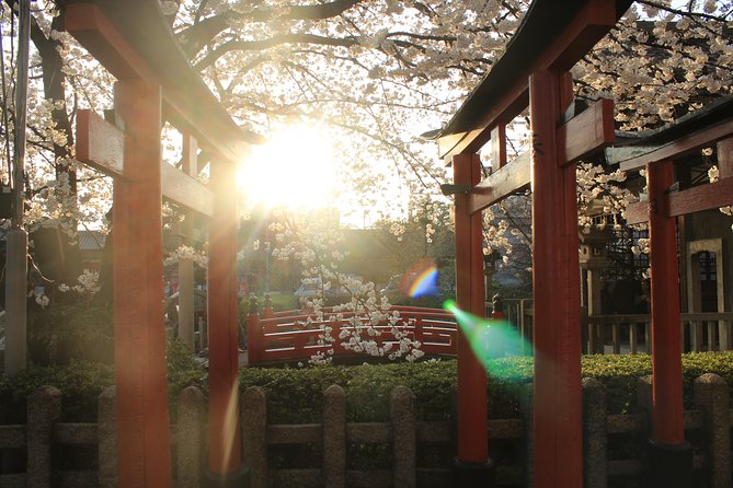 Private & Unique Kyoto Cherry Blossom "Sakura" Experience - Price and logistics: what $290.79 buys you, and what you handle yourself