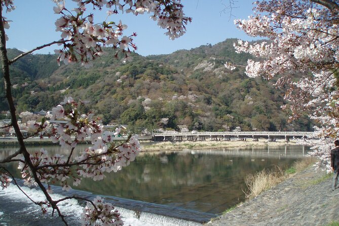 Private Walking Tour in Bamboo Forest & Hidden Spots in Arashiyama - Meeting at Saga-Arashiyama Station, then walking a steady 4-hour loop