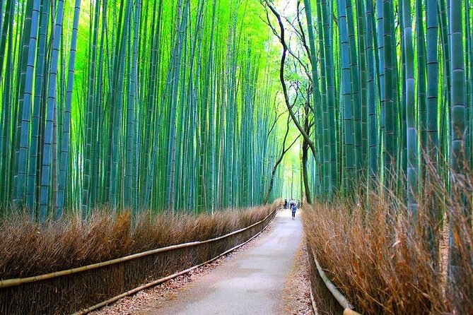 Private Walking Tour in Bamboo Forest & Hidden Spots in Arashiyama - Bamboo Forest Street: the photos are real, the crowds are real too