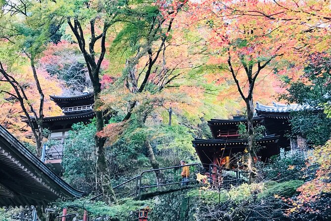 Private Walking Tour in Bamboo Forest & Hidden Spots in Arashiyama - Seiryōji (Saga Shakadō): starting with Kyoto’s quieter 9th-century roots
