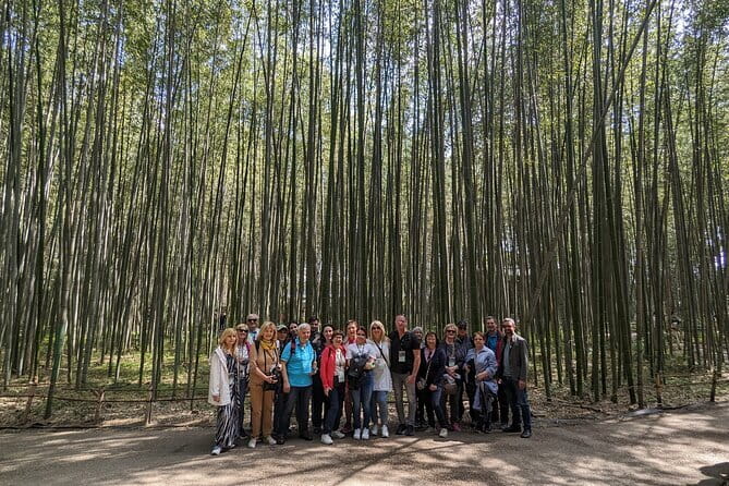 Private Walking Tour in the Arashiyama Bamboo Forest with Guide - Togetsukyo Bridge: a quick hit of the Katsura River view
