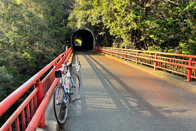Rent a Road Bike to Explore Kyoto and Beyond - Getting your bike: sizing, pedal options, and why it affects comfort