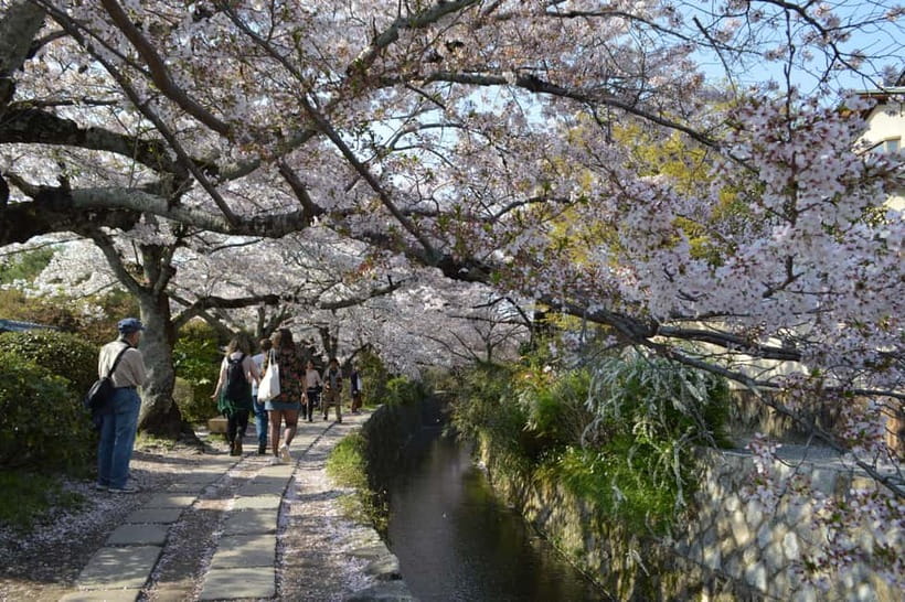 Sacred Pathways: Discover the Philosopher's Path of Kyoto - A Calm Kyoto Walk Along the Philosopher’s Path (Not a Rush, Not a Crowd)