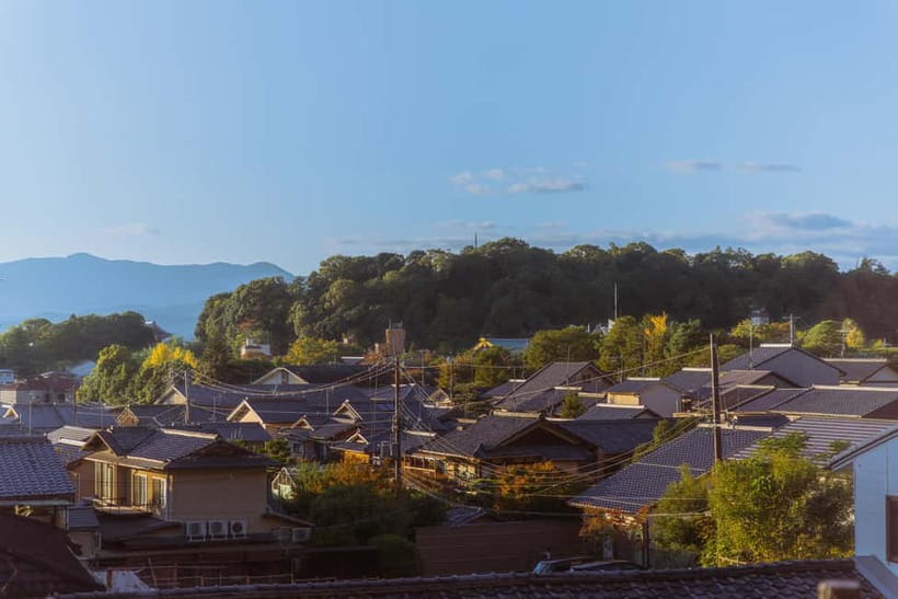 Sacred Pathways: Discover the Philosopher's Path of Kyoto - The Guide Makes It Click, Especially When You Can Ask Questions