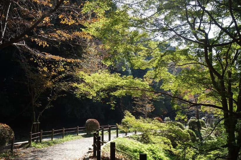 Sacred Pathways: Discover the Philosopher's Path of Kyoto - Price and Value: Why $64 Feels Fair When Fees Are Included