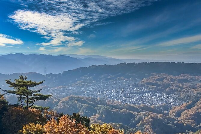 Sacred Peak and Scenic View Hieizan Enryaku ji and Hiyoshi Shrine - What to pack and how to handle no lunch